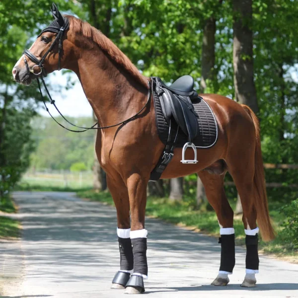 Kavalkade KavalEasy Strass Dressage Saddle Pad