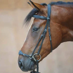 Kavalkade Levana Bridle