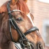 Kavalkade Sonya Weymouth Bridle