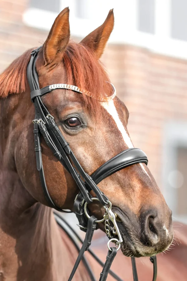 Kavalkade Sonya Weymouth Bridle