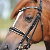 Kavalkade Weymouth bridle Antonia, crank noseband