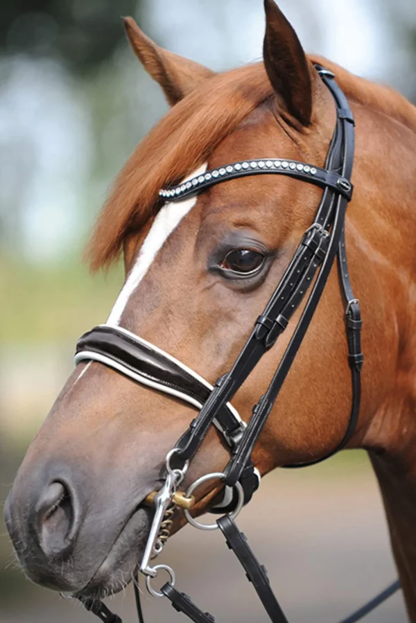 Kavalkade Weymouth bridle Antonia, crank noseband