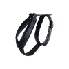 Kentucky Dogwear Active Velvet Harness