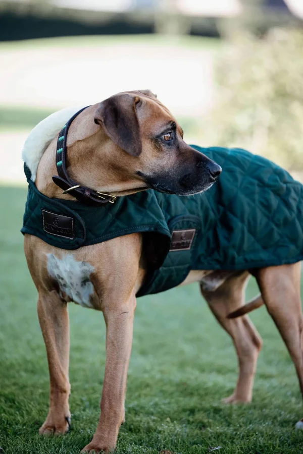 Kentucky Dogwear Dog Coat Waterproof