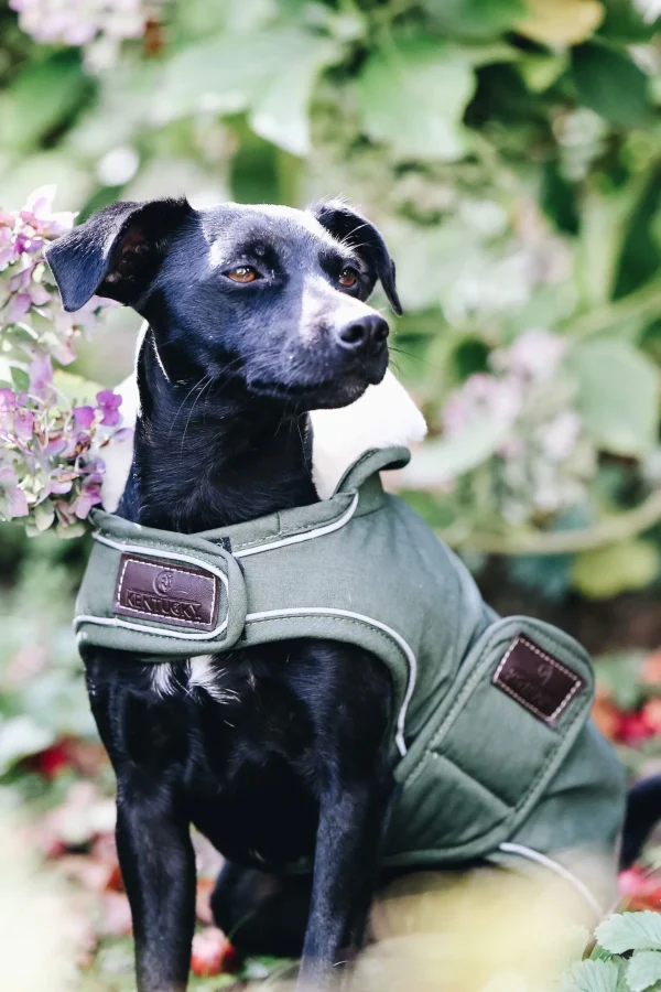 Kentucky Dogwear Dog Coat Waterproof