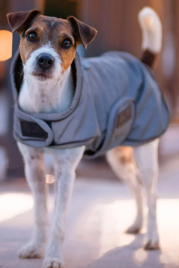 Kentucky Dogwear Dog Coat Reflective & Water Repellent