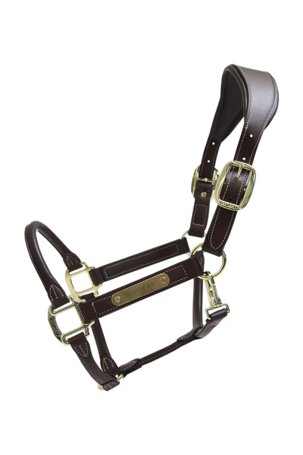 Kentucky Horsewear Anatomic Leather Halter