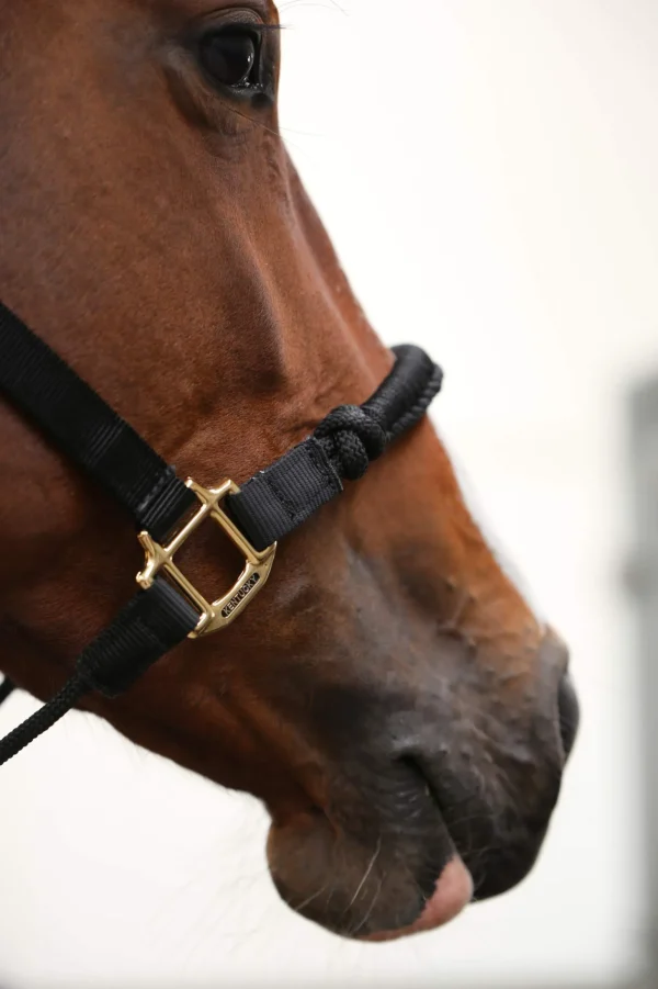 Kentucky Horsewear Control Halter