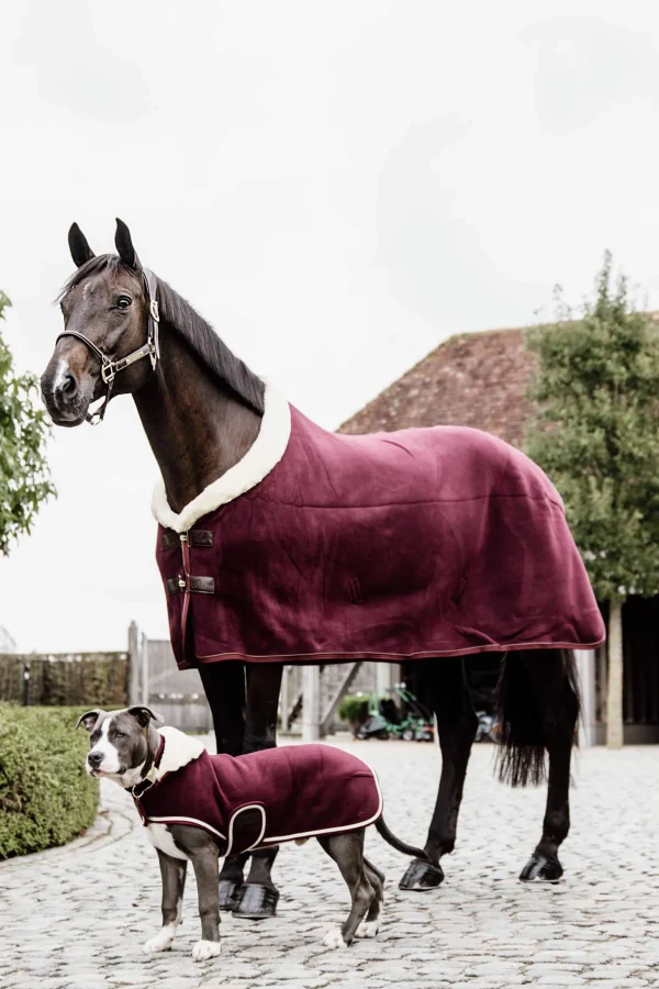 Kentucky Horsewear Fleece Show Rug