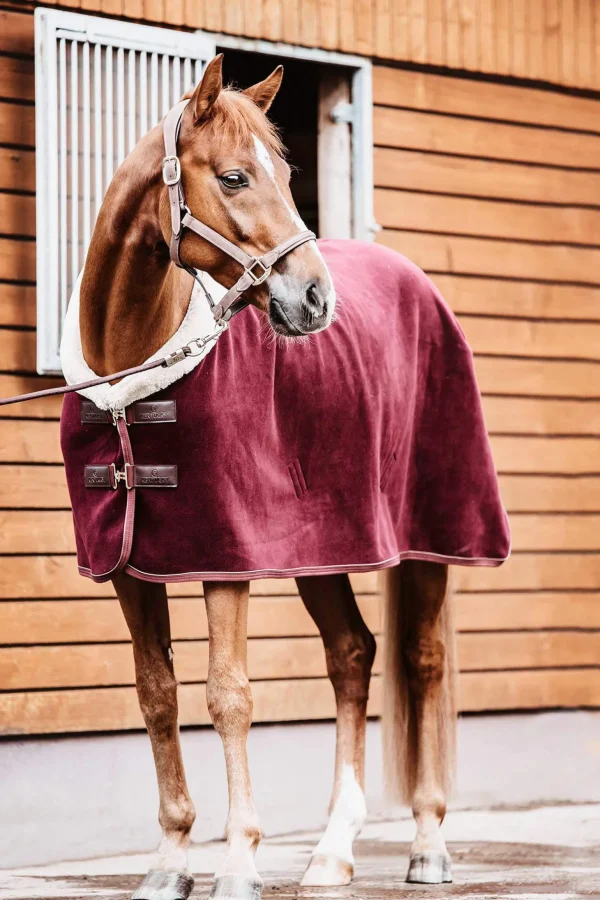 Kentucky Horsewear Fleece Show Rug