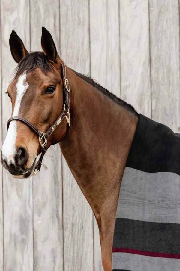 Kentucky Horsewear Heavy Fleece Rug