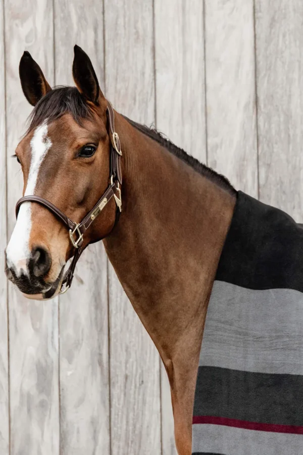 Kentucky Horsewear Heavy Fleece Rug Square