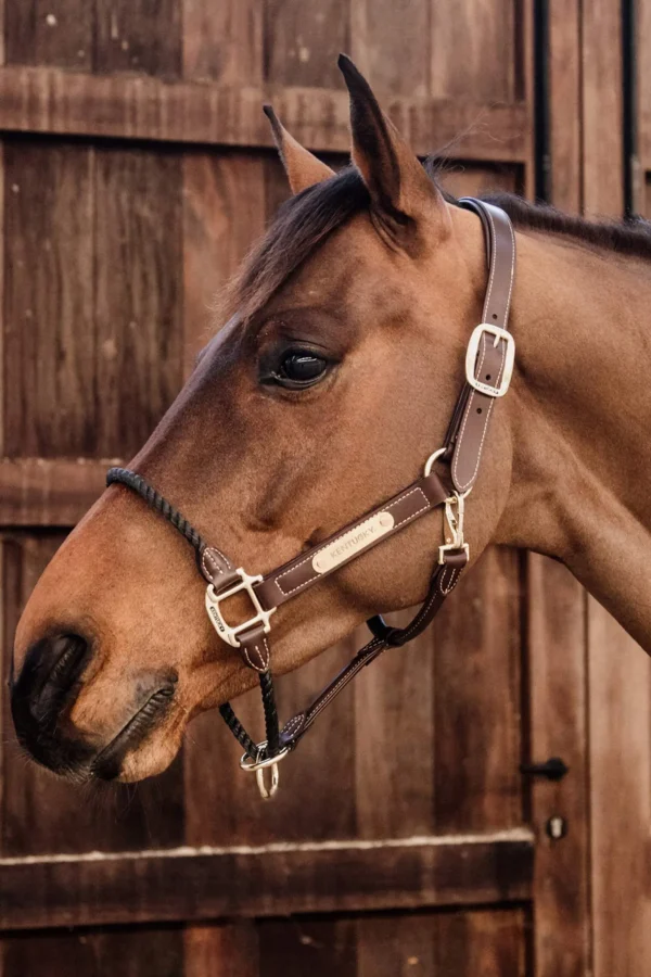 Kentucky Horsewear Leather Rope Halter