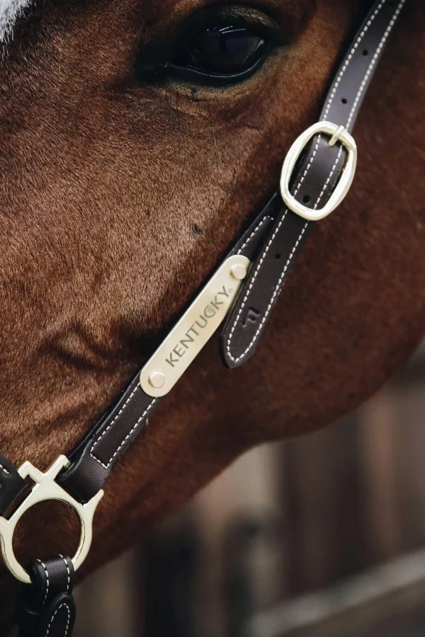 Kentucky Horsewear Leather Grooming Halter