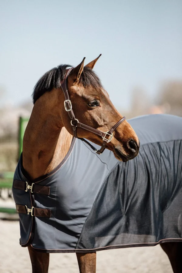 Kentucky Horsewear Softshell Cooler