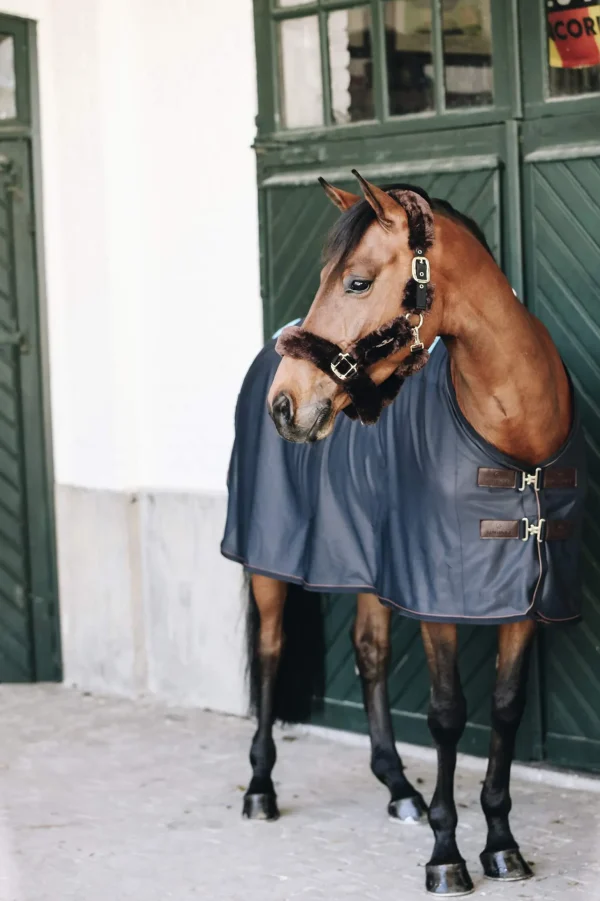 Kentucky Horsewear Tiny Recuptex Magnetic Rug