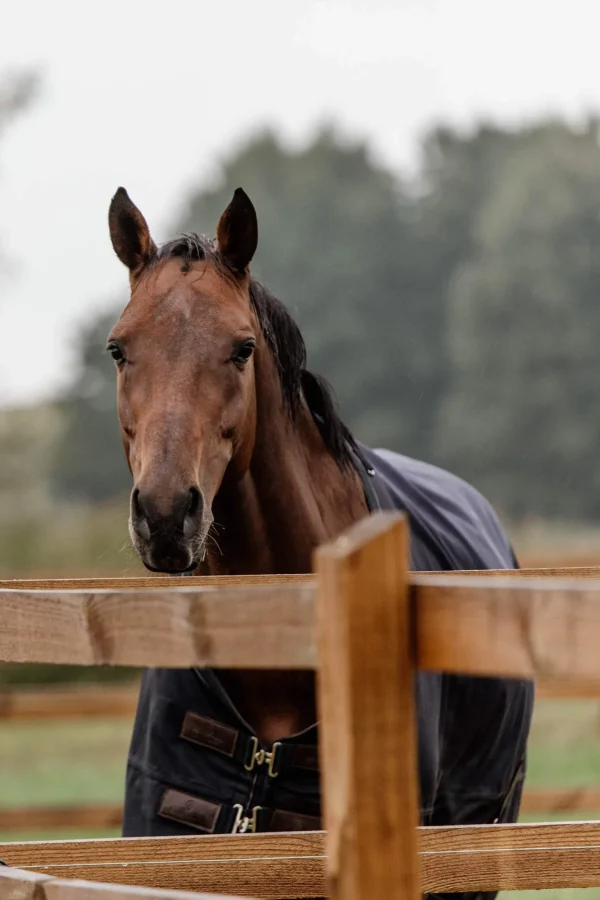 Kentucky Horsewear Turnout Rug All Weather, 300g