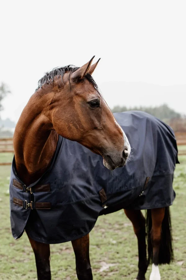 Kentucky Horsewear Turnout Rug All Weather, 300g