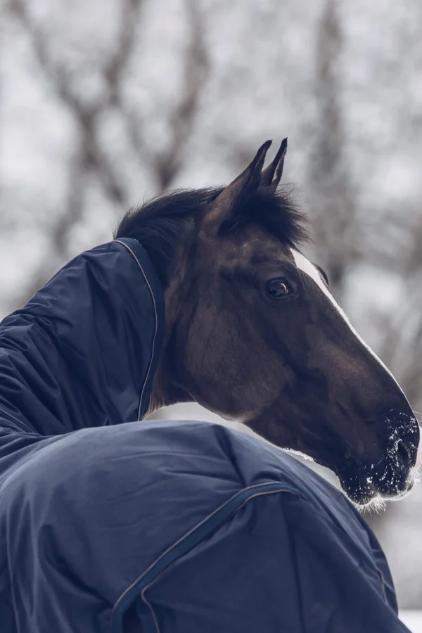 Kentucky Horsewear Turnout Rug All Weather Waterproof Classic, 300g