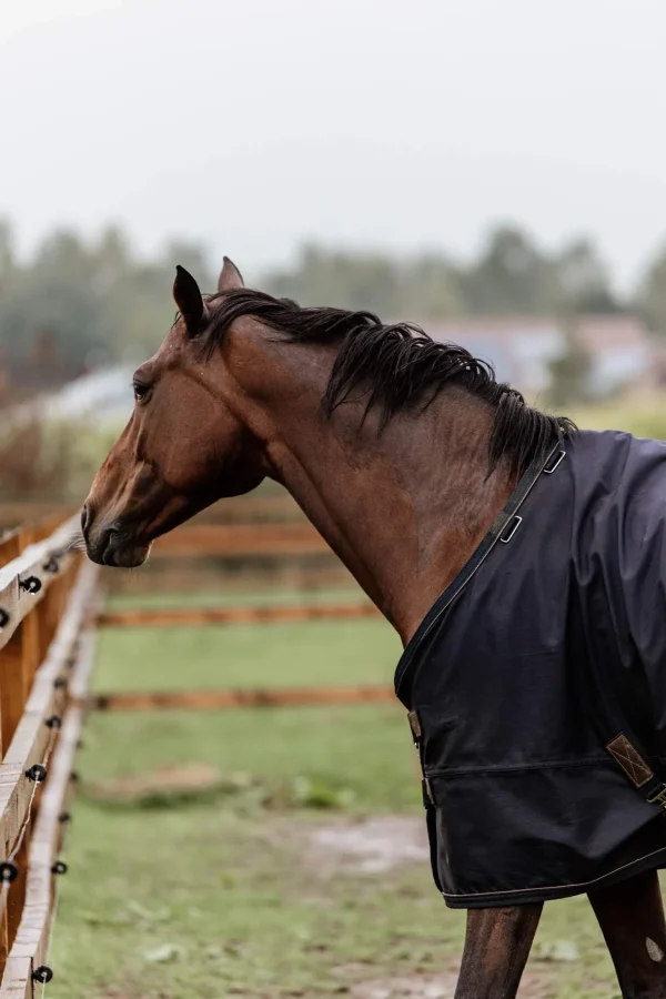 Kentucky Horsewear Turnout Rug All Weather, 300g