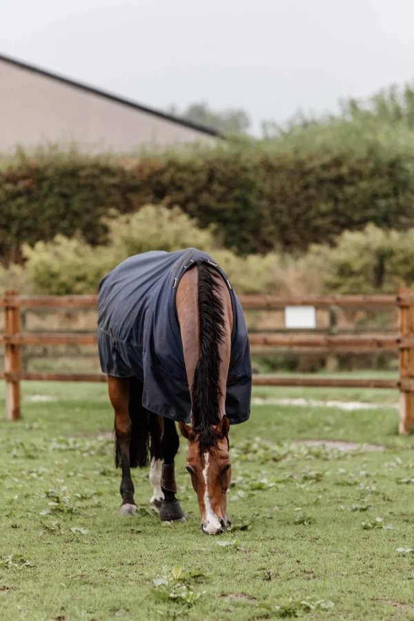 Kentucky Horsewear Turnout Rug All Weather, 300g