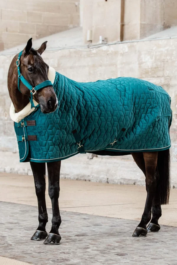 Kentucky Horsewear Velvet Show Rug, 160g