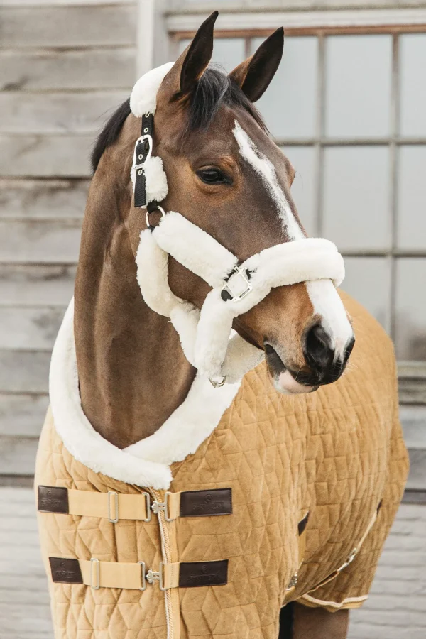 Kentucky Horsewear Velvet Pony Show Rug, 160g