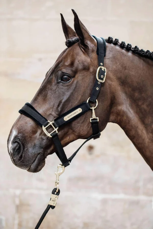 Kentucky Horsewear Velvet Halter