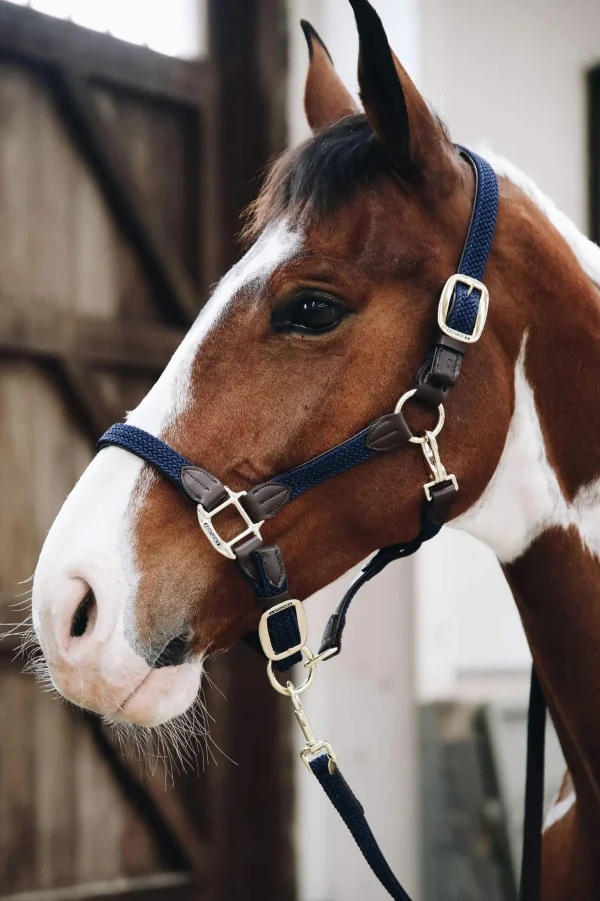 Kentucky Plaited Nylon Halter