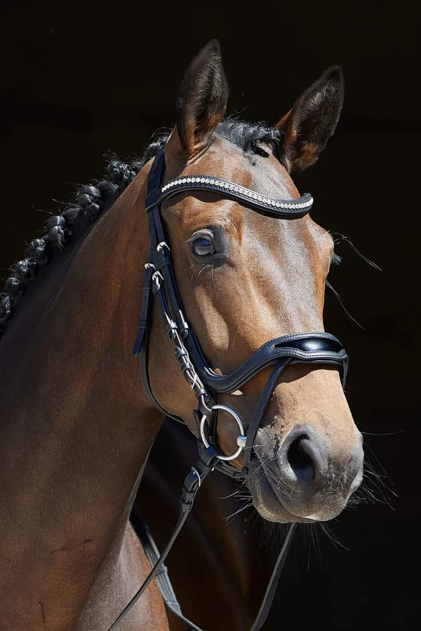 Kieffer Anouk Softtech Line Bridle