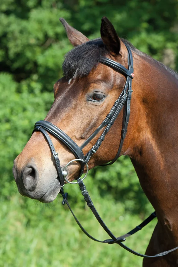 Kieffer Ergonomic Line Bridle