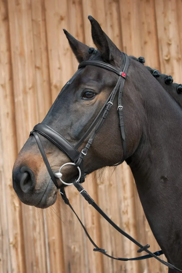 Kieffer Ergonomic Line III Bridle