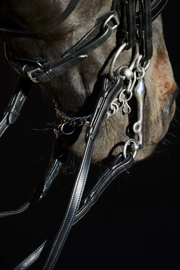 Kieffer Ultrasoft® Amy Double Bridle