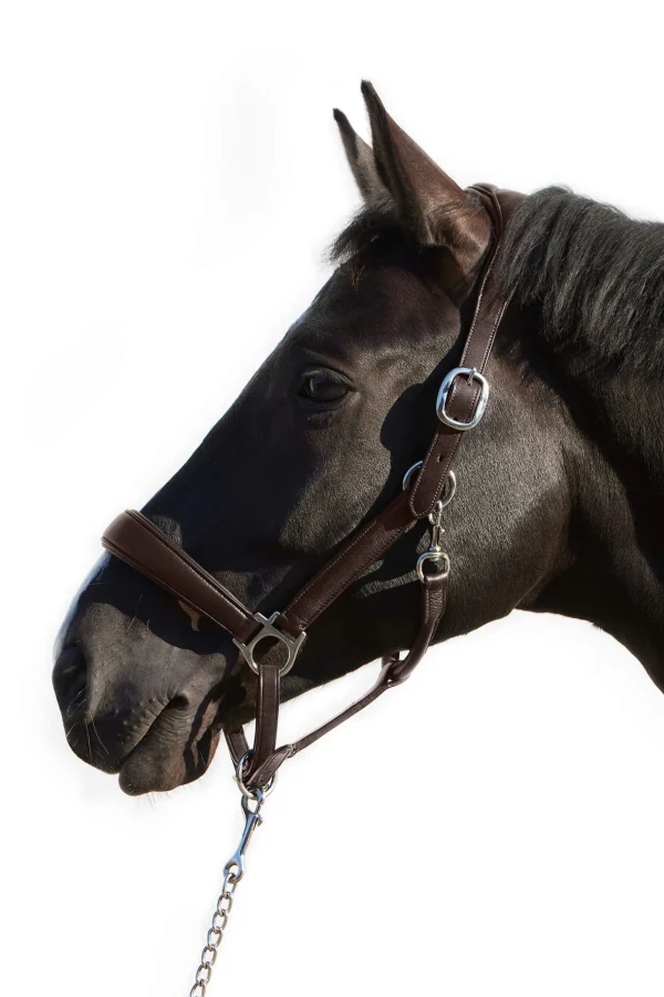 Kieffer Ultrasoft® Deluxe Leather Headcollar