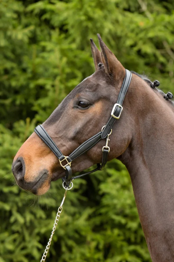 Kieffer Ultrasoft® Leather Headcollar