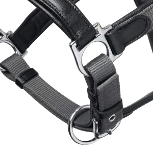 LeMieux Capella Headcollar