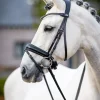 LeMieux Classic Dressage Bridle