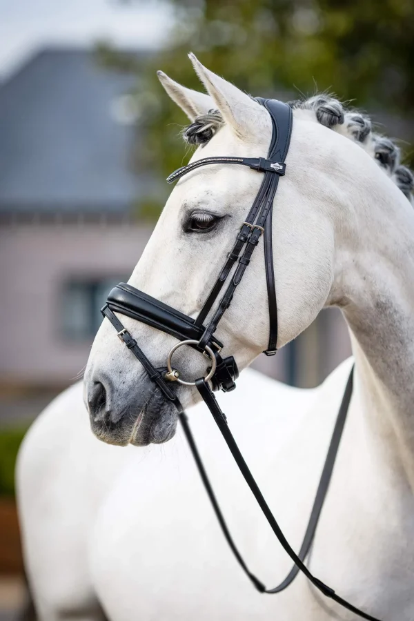 LeMieux Classic Dressage Bridle