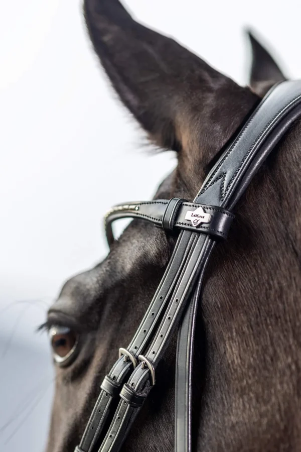 LeMieux Classic Dressage Bridle