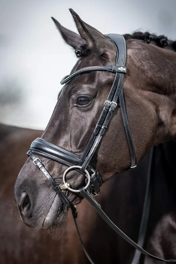 LeMieux Classic Dressage Bridle