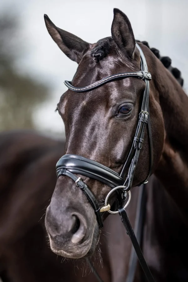 LeMieux Classic Dressage Bridle