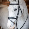 LeMieux Competiton Flash Bridle