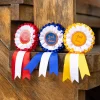 LeMieux Hobby Horse Rosette Pack Multi