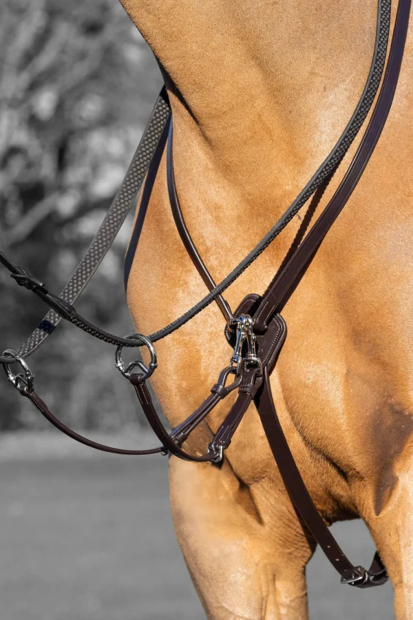 LeMieux Kudos Running Martingale