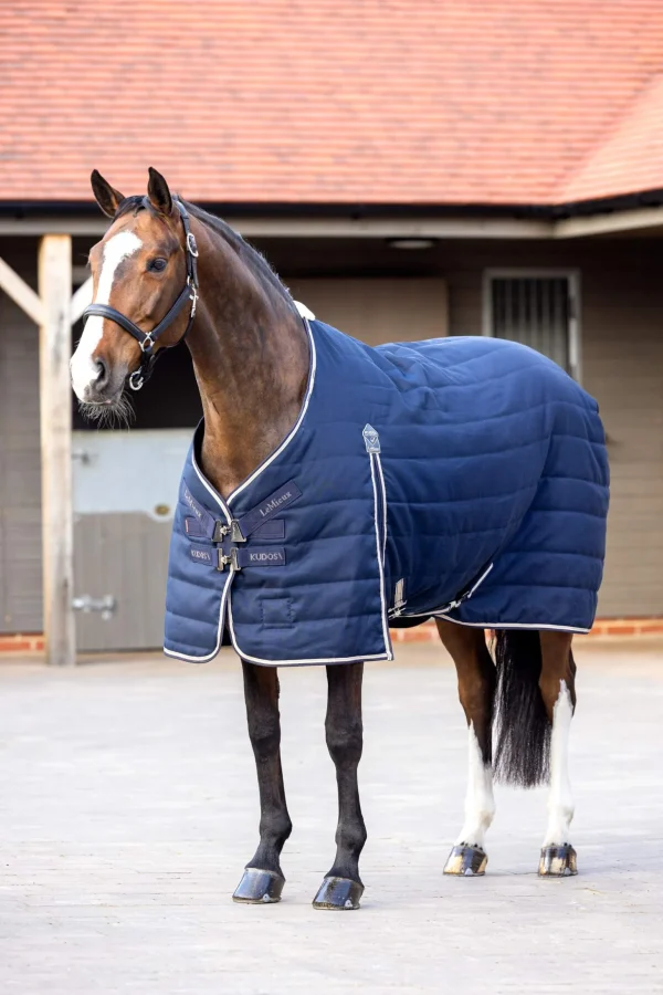 LeMieux Kudos Stable Rug, 100g