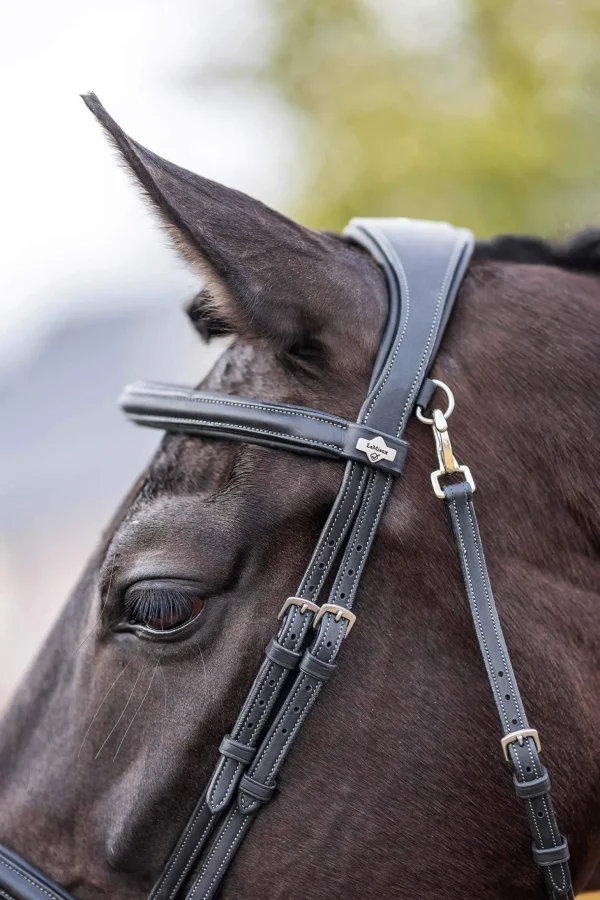 LeMieux Kudos Work Bridle