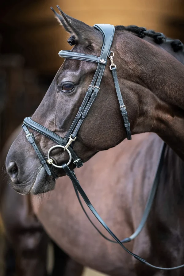 LeMieux Kudos Work Bridle