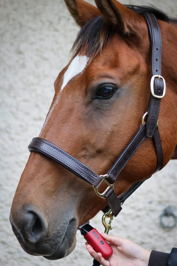 Liveryman Robin Equine Trimmer