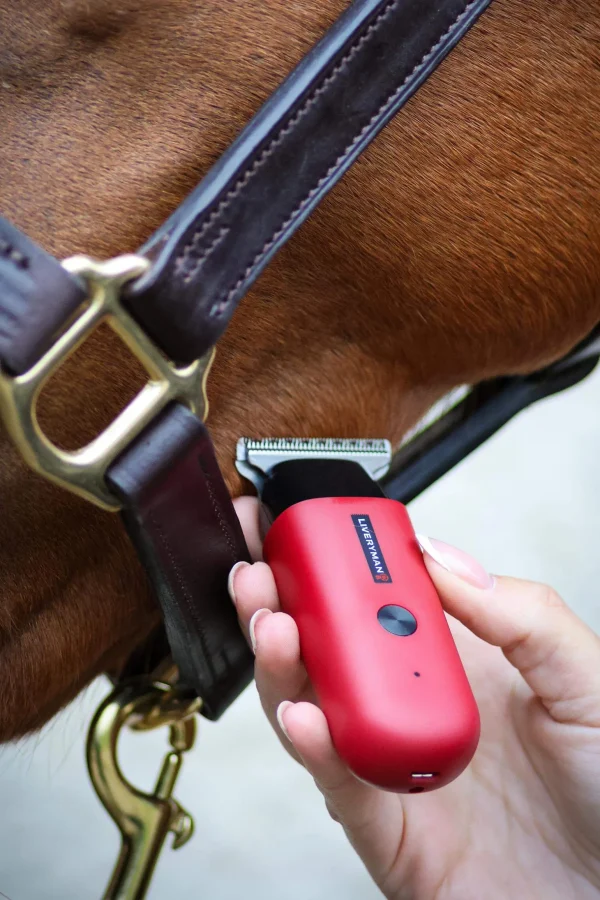 Liveryman Robin Equine Trimmer