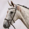 PS of Sweden bridle Nirak